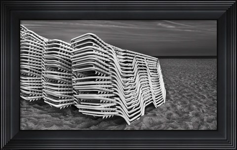 Framed Great Whites Print