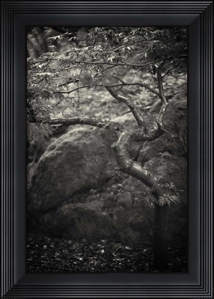 Framed en plein air Print
