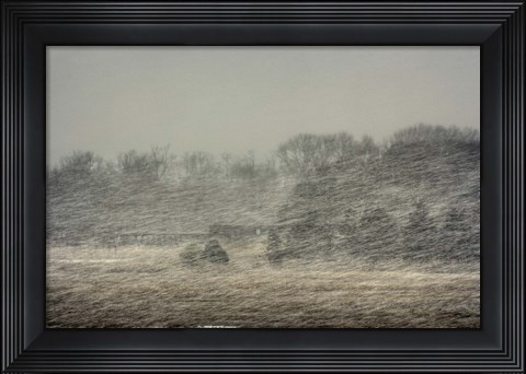 Framed Snow Train to China Print