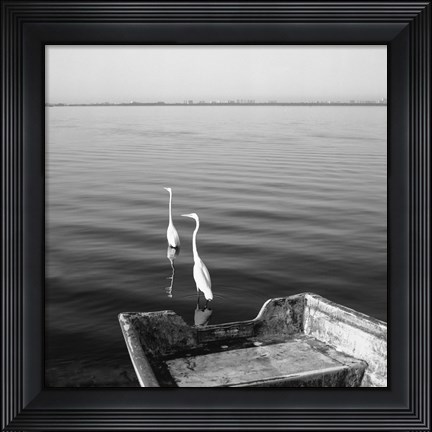 Framed 2 Herons Leaving Print