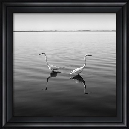 Framed 2 Herons Print