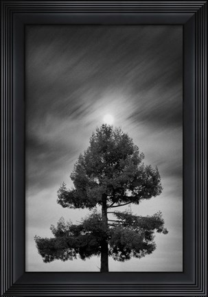Framed Drama of the Gifted Child Print
