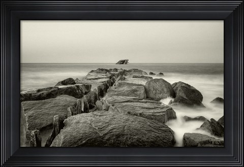 Framed Dentata Print