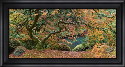 Framed Tree Final Print