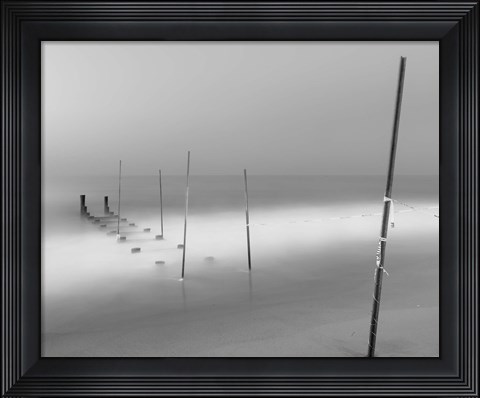 Framed Share the Same Skin Print