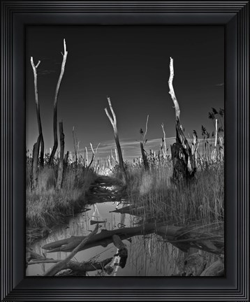 Framed Hoax Print