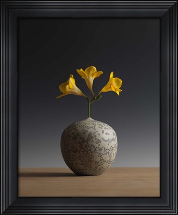 Framed Three Freesia Blossoms Print