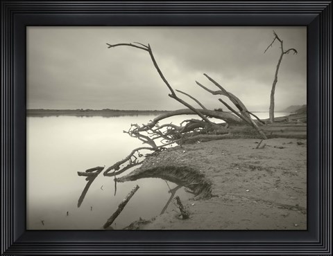 Framed End of History Print