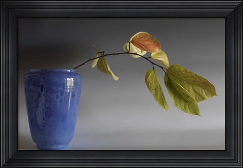 Framed Cluthra Print