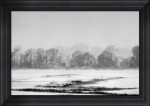 Framed Blizzard Print