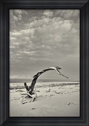 Framed Spice Box of Earth Print