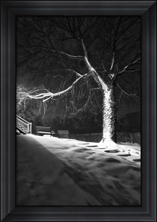 Framed Twelve Steps Print