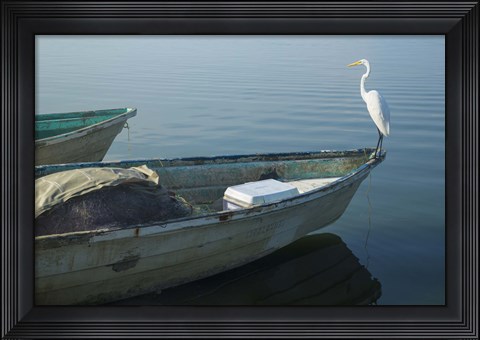 Framed Garzas-5-2 Print