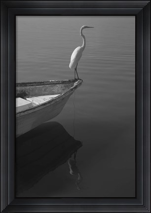 Framed Garzas-6 Print