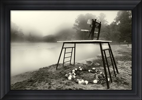 Framed Amygdala Station Print