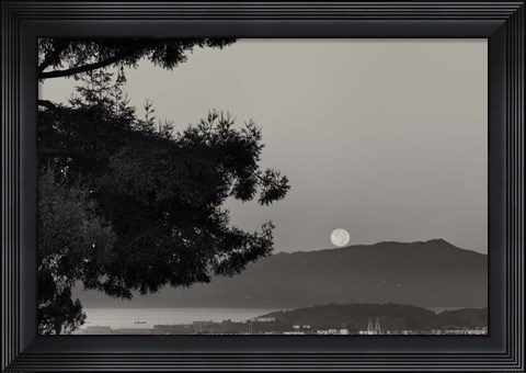 Framed That Is That Print