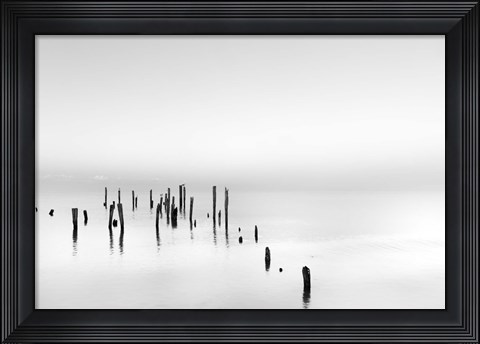 Framed Four Gulls Print