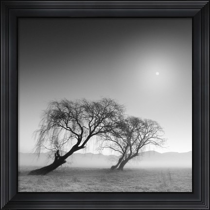 Framed Reverencia Print