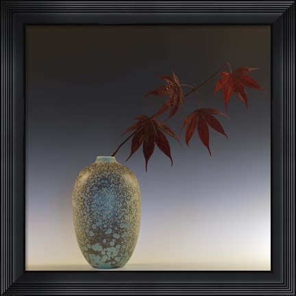 Framed Still Life with Japanese Maple and Raindrops Print