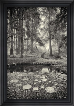 Framed Specular Echoes Print