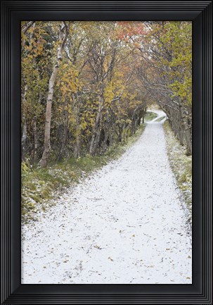 Framed Snow Way 1 Print