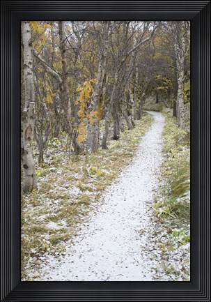 Framed Snow Way 2 Print