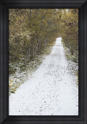 Framed Snow Way 3 Print