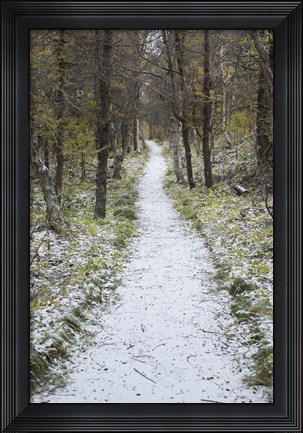 Framed Snow Way 4 Print
