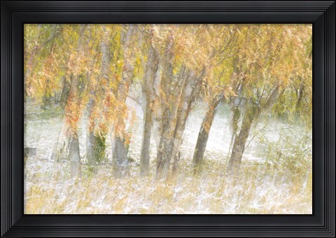 Framed Motion Trees 1 Print