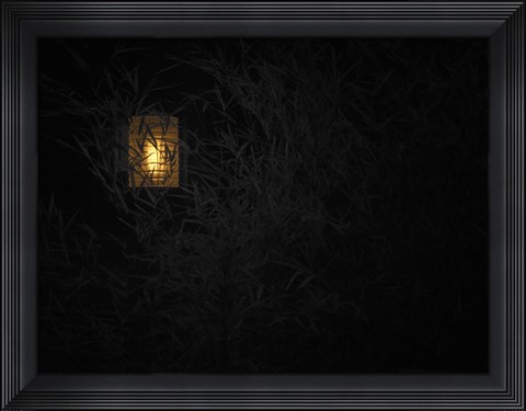 Framed In Country II Print