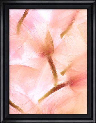 Framed Flores Congeladas 594 Print