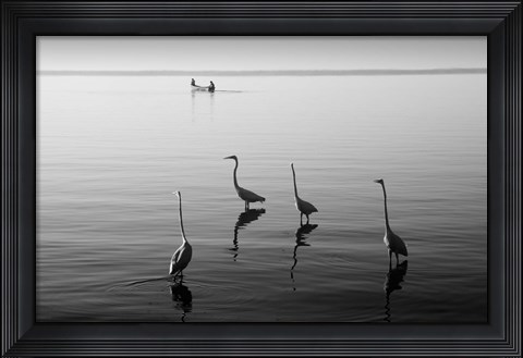 Framed 4 Heron and Boat Print