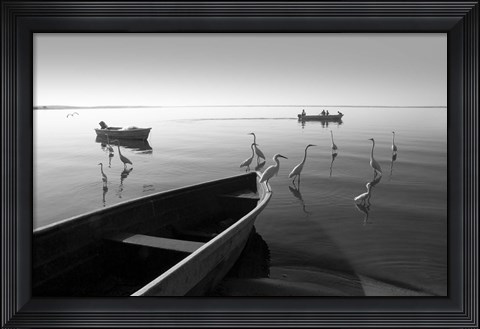 Framed Herons and 3 Boats Print