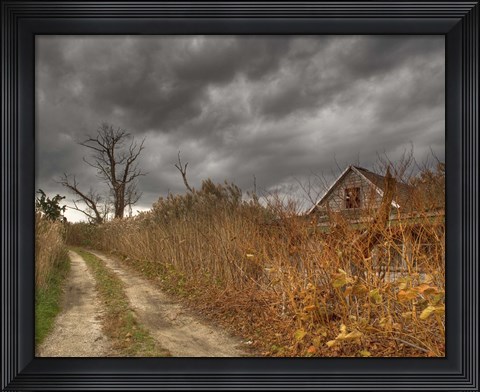 Framed Who Killed My Sister Print