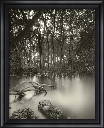 Framed Song of the South Print