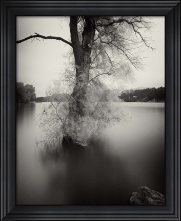 Framed Surfactant Print