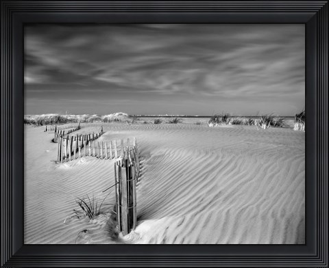 Framed Anglesea Moire I Print