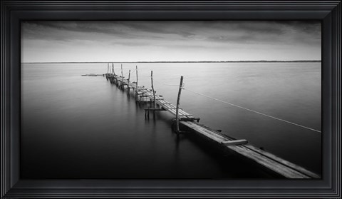 Framed 3 Palos Print