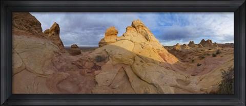 Framed Cottonwood II Print