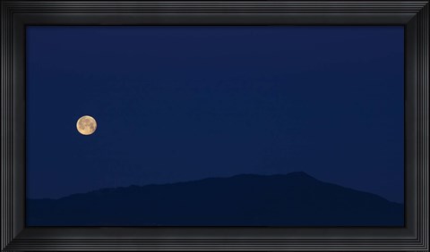 Framed Blue Too Print