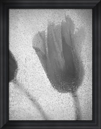 Framed Tulipanes Amarillos 32 1 Print