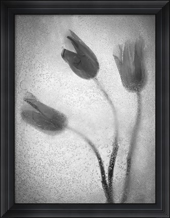 Framed Tulipanes Amarillos 37 1 Print