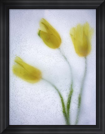 Framed Tulipanes Amarillos 37 3 Print