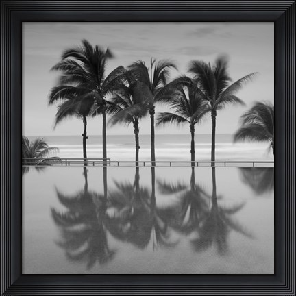 Framed 6 Palmeras Print