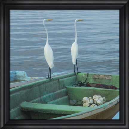 Framed Garzas-4-2 Print