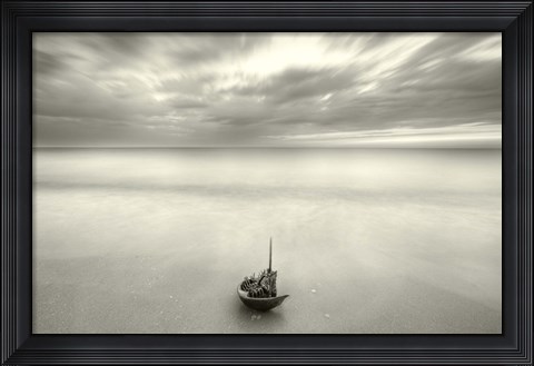 Framed Null Hypothesis Print