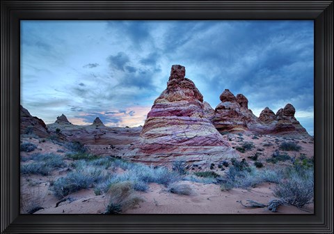 Framed Cottonwood I Print