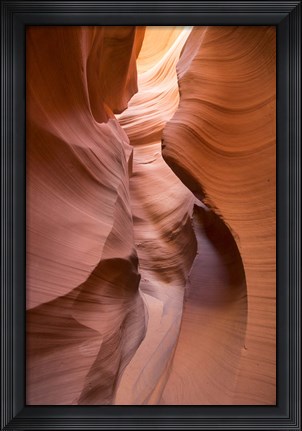 Framed Spiral I Print