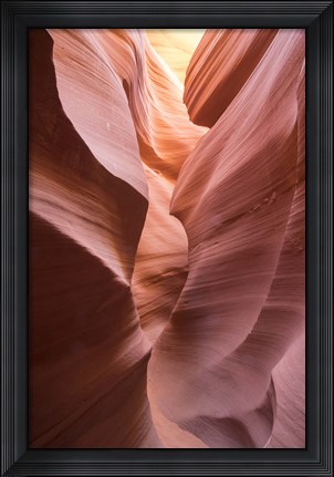 Framed Spiral II Print