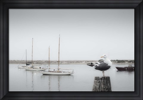 Framed Four Boats &amp; Seagull Print